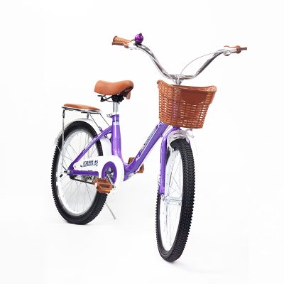 Bicicleta Infantil De Paseo Aro 20 Morado